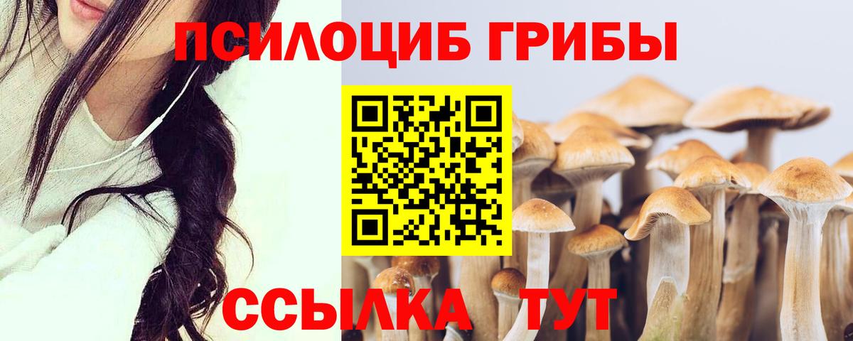 Псилоцибиновые грибы MAGIC MUSHROOMS  Вход с VPN  где купить наркотик  Боровичи 